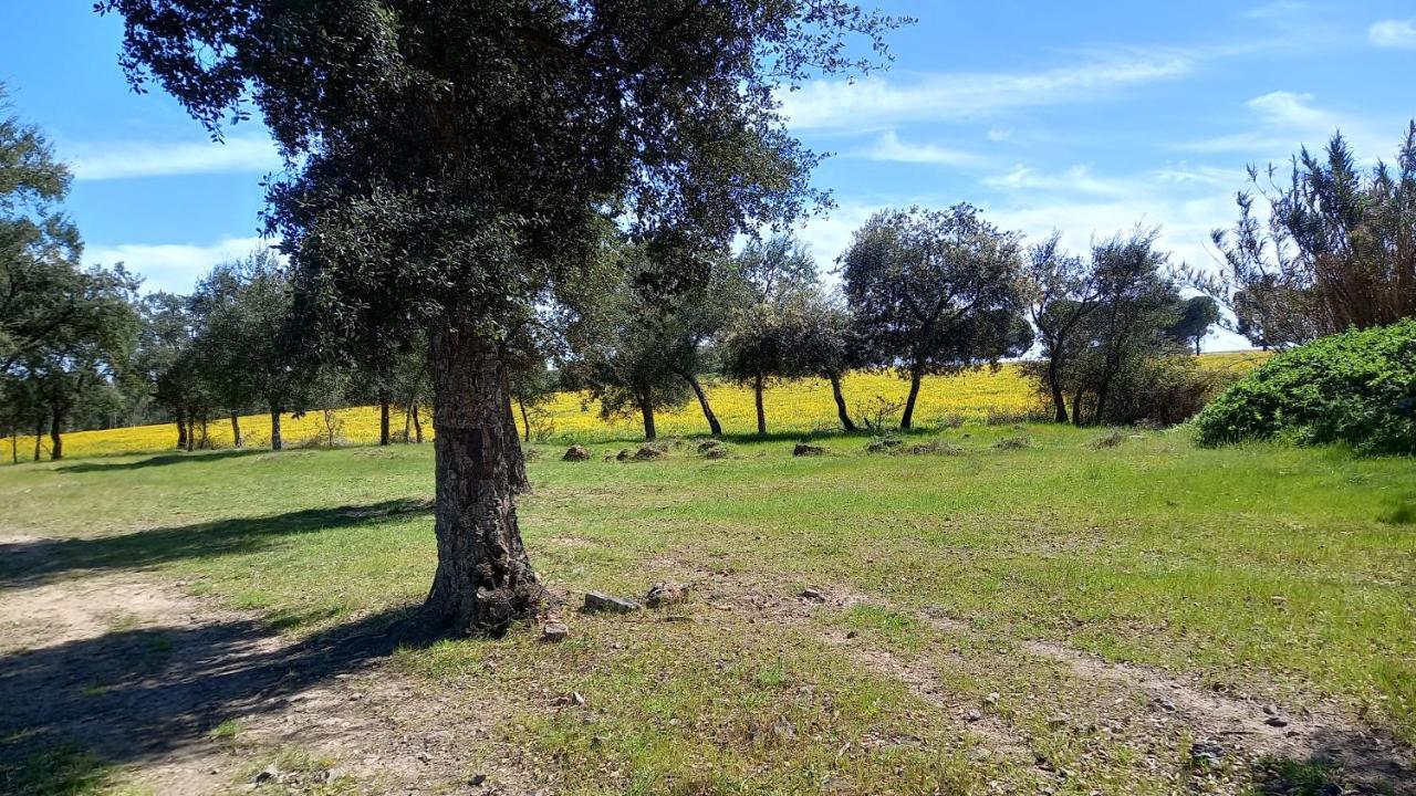 Monte Da Serralheira Agro Turismo Évora Dış mekan fotoğraf