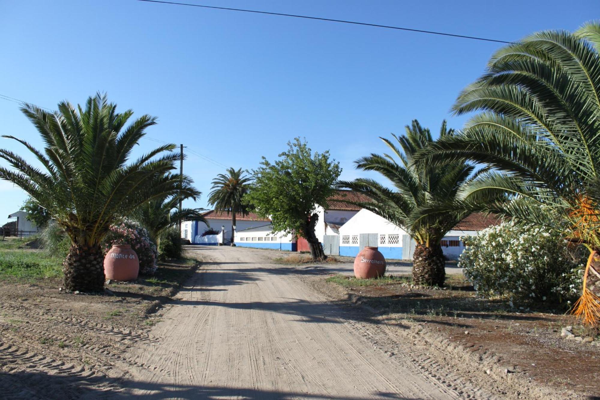 Monte Da Serralheira Agro Turismo Évora Dış mekan fotoğraf
