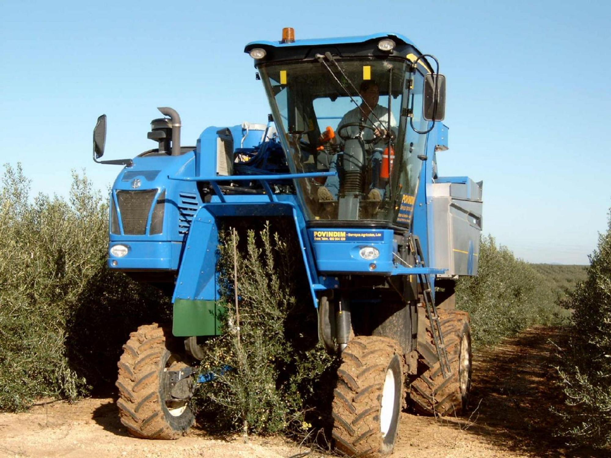 Monte Da Serralheira Agro Turismo Évora Dış mekan fotoğraf
