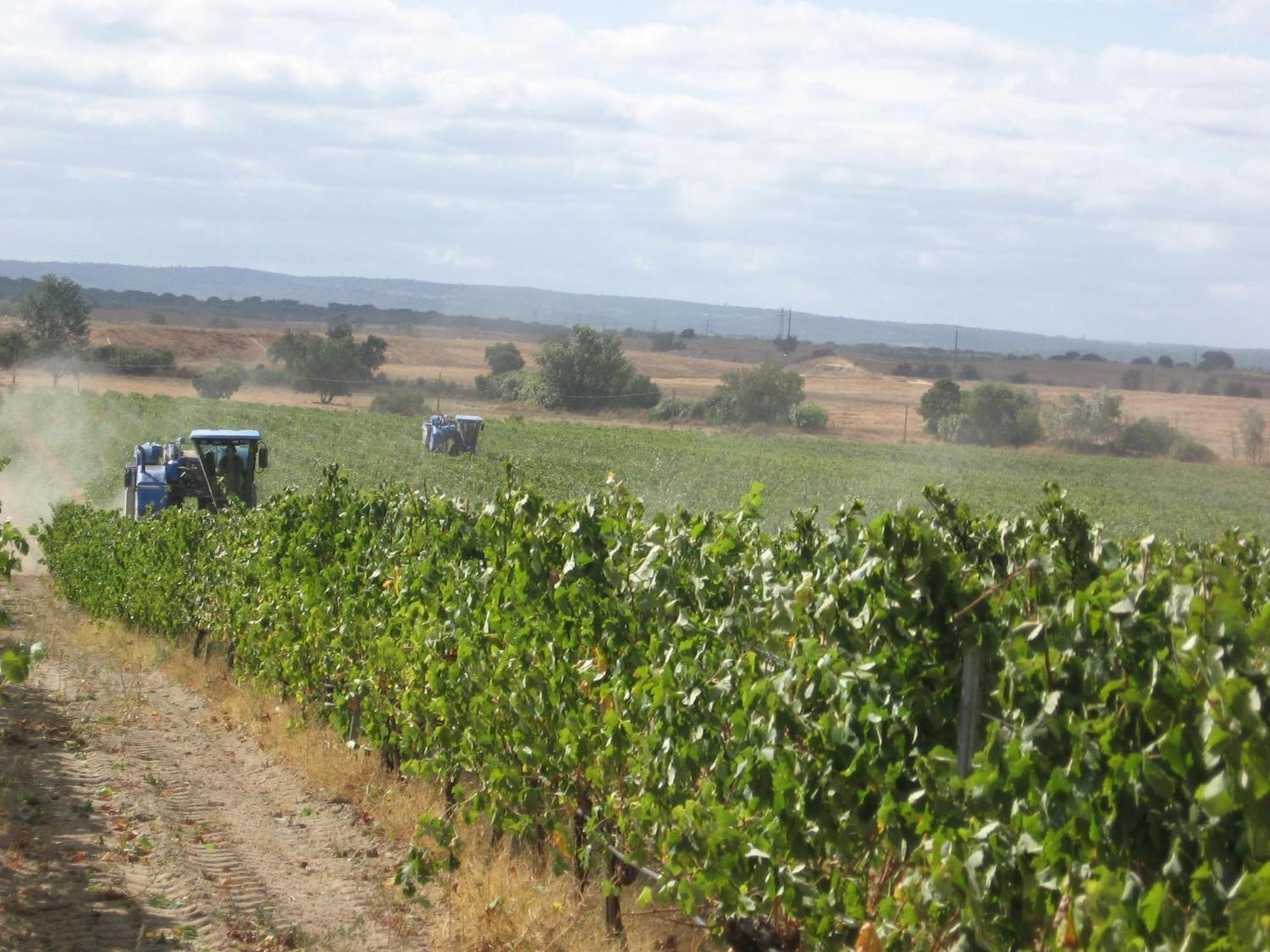 Monte Da Serralheira Agro Turismo Évora Dış mekan fotoğraf