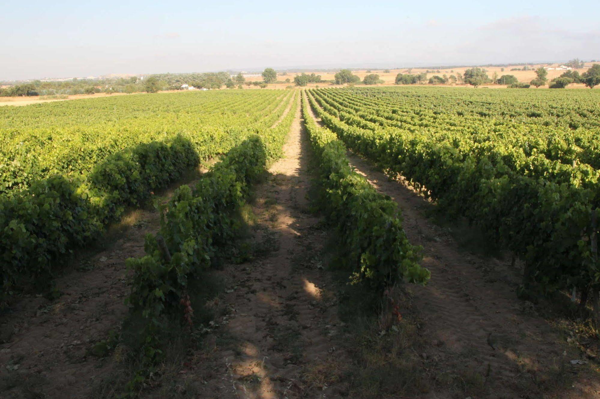 Monte Da Serralheira Agro Turismo Évora Dış mekan fotoğraf